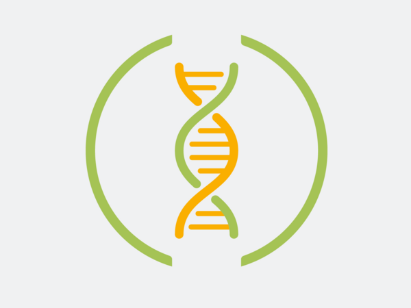 Grafische Darstellung DNA